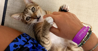 joséphine pet sitter à PARIS 14 75014_1