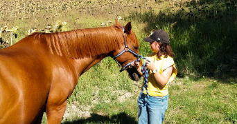 dacha pet sitter à TOULOUSE 31300_2