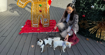 emma pet sitter à GRENOBLE 38000_1