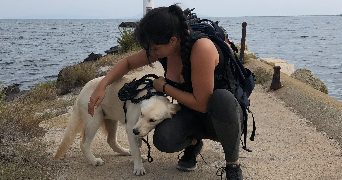 alice pet sitter à CRAINTILLEUX 42210_7