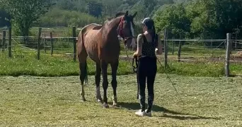 laurelene pet sitter à LA BIOLLE 73410