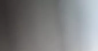 pauline pet sitter à ROMILLY SUR SEINE 10100