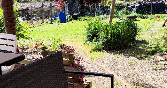 vilia dog sitter à CHEMILLE EN ANJOU 49120_2