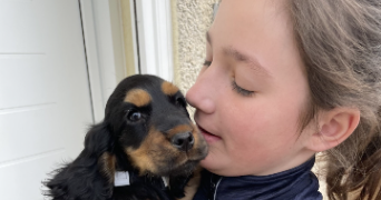 remy dog sitter à GRENOBLE 38000_4