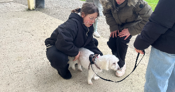 elodie pet sitter à SOULLANS 85300_2