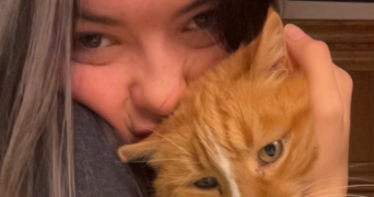 louna pet sitter à MARCQ EN BAROEUL 59700_2