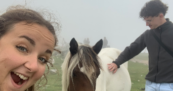 colyne pet sitter à CLAMART 92140_0
