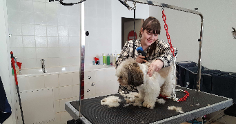 nina pet sitter à CAEN 14000_5