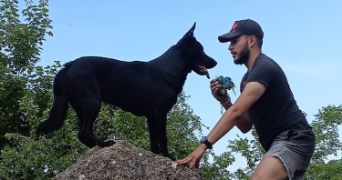koceila pet sitter à VILLABE 91100_7