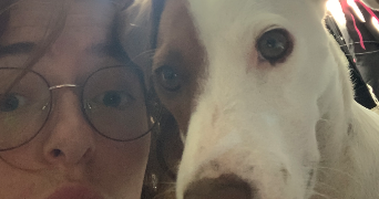 lilou pet sitter à THOUARS 79100_1