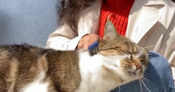 miriam pet sitter à BORDEAUX 33000_3