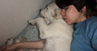 ela pet sitter à Reims 51100_8