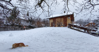 jean charles  dog sitter à GEX 01170_6