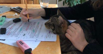 alice pet sitter à PARIS 13 75013_8
