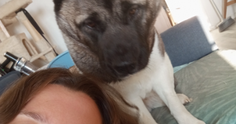 raphaëlle pet sitter à FONTENAY LE FLEURY 78330_1