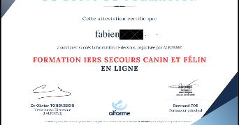 fabien pet sitter à NICE 06000_1