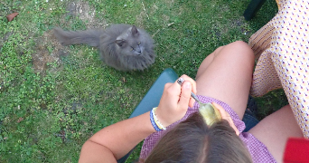 maiwenn pet sitter à LILLE 59000_3