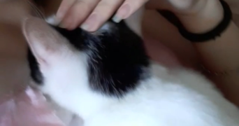 mandy pet sitter à Bourges  18000_7