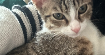 souxsie  pet sitter à CHAMBERY 73000_2