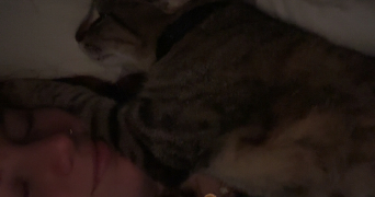léa pet sitter à POITIERS 86000_2