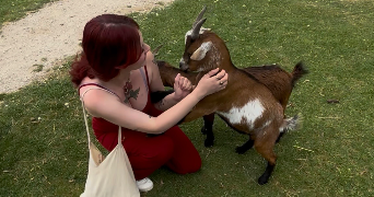 lydia pet sitter à BUSSY ST GEORGES 77600_4