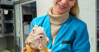 maëva pet sitter à Domont 95330_6