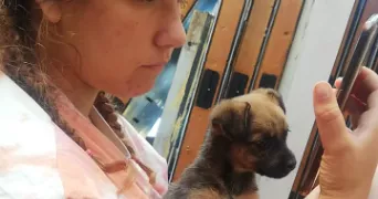 lola pet sitter à LEUCATE 11370