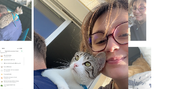 kellyne pet sitter à CHATEAUROUX 36000
