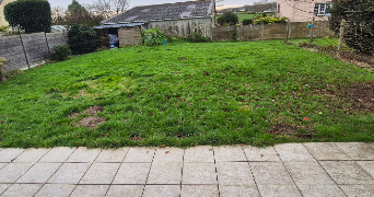 océane pet sitter à MORLAIX 29600_5