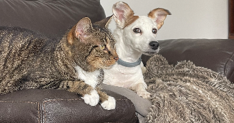 ilona pet sitter à PARIS 09 75009_5