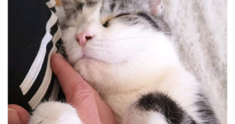 sarah pet sitter à CAEN 14000_7