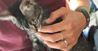 marie pet sitter à CHAMBERY 73000_1
