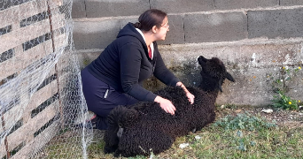 stephane pet sitter à ST GEORGES LES BAILLARGEAUX 86130_3