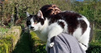 jeanne pet sitter à TOULON 83000_3