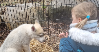 laura pet sitter à VERNOUILLET 78540_7