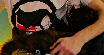 sophie pet sitter à CHARLEROI 6000_3