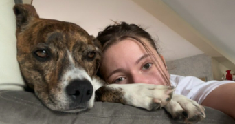 angélique pet sitter à Grammond 42140_0