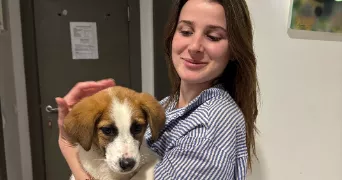 chloé pet sitter à PARIS 08 75008