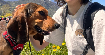 maia pet sitter à SEYSSINET PARISET 38170_9