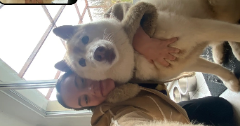 félice pet sitter à PESSAC 33600_1