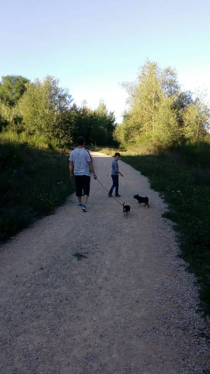 alexia pet sitter à Sanvignes-les-Mines 71410