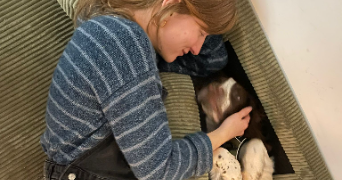 eve pet sitter à LILLE 59000_6
