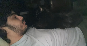 syphax pet sitter à PARIS 18 75018_3