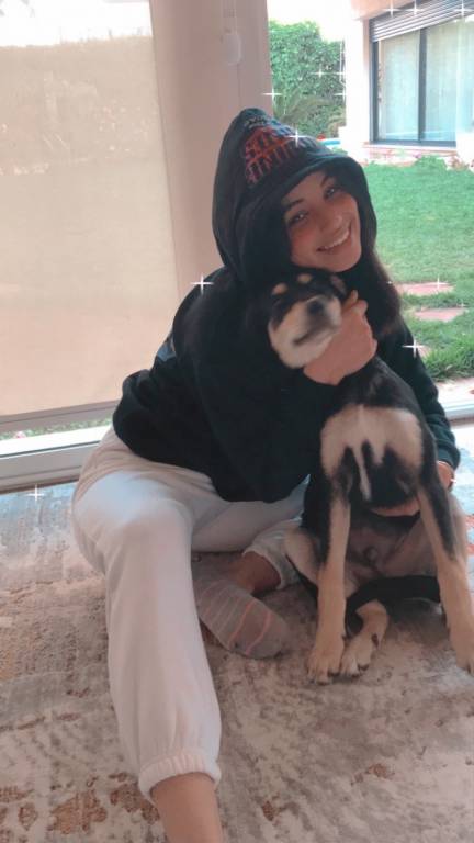 HAJAR pet sitter à Brest 29200_1