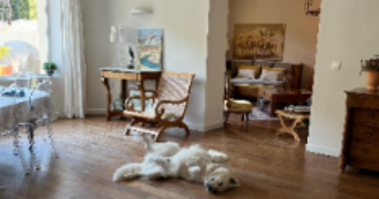 jehanne-lys pet sitter à MARSEILLE 09 13009_5