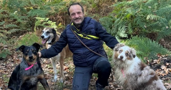 gianni dog sitter à ORSAY 91400_1