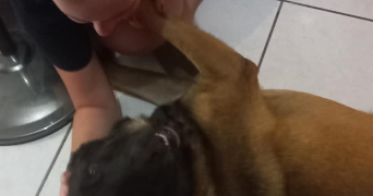 marie pet sitter à LIMEIL BREVANNES 94450_3