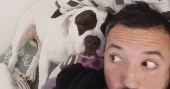 jean françois pet sitter à AMIENS 80000