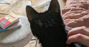 hélène  cat sitter à PARIS 17 75017_2