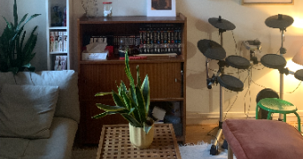 jazz pet sitter à PARIS 12 75012_3